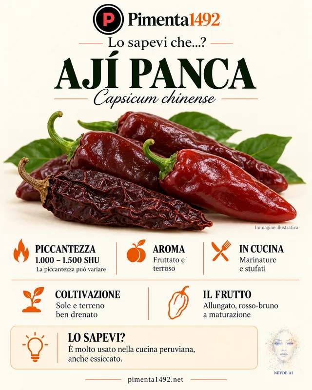 Scheda illustrata approvata della varietà Ají Panca.